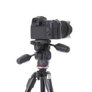 Sed ultrices nisi ut